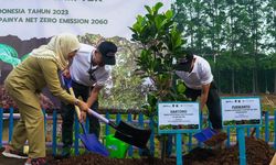 Peringati Hari Menanam Pohon Indonesia, Antam Tanam 2.000 Pohon di Jaktim