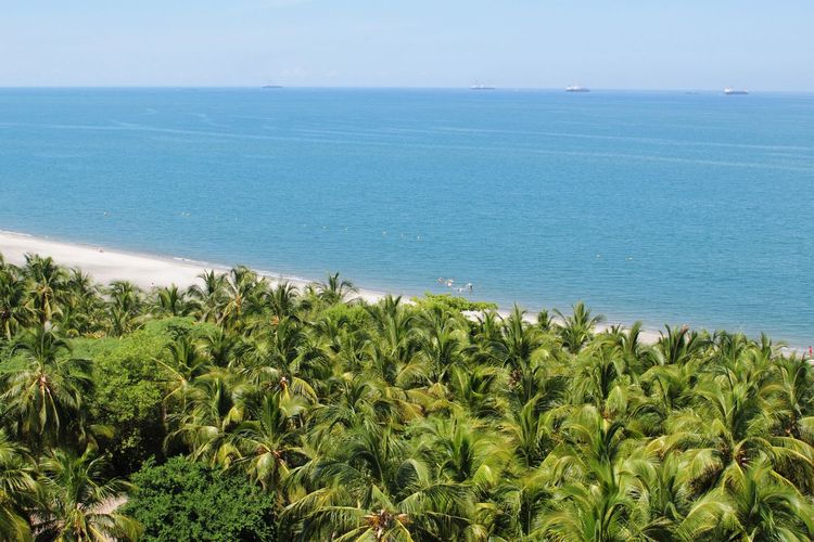 Ilustrasi iklim tropis