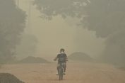 75.712 Balita Kena ISPA Karena Karhutla, IDAI Ingatkan Efeknya Bisa Sampai Usia Dewasa
