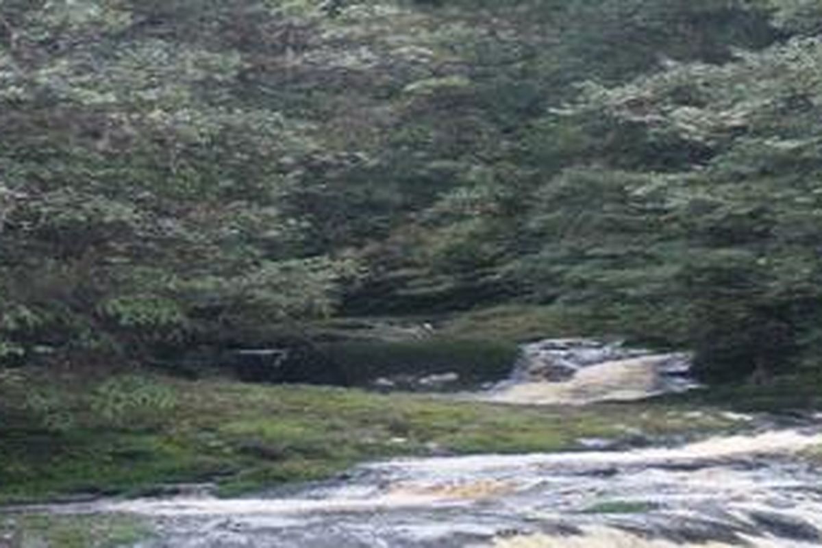 Sungai Asahan membelah SM Dolok Surungan yang masih menyimpan kekayaan alam dan budaya lokal kelas dunia