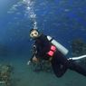 Fasilitas Bangsring Underwater Banyuwangi, Bisa Renang dengan Hiu 
