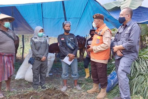 Bantu Warga Terdampak Erupsi Semeru, Pramuka Jatim Kirim Pakan Ternak dan Dokter Hewan