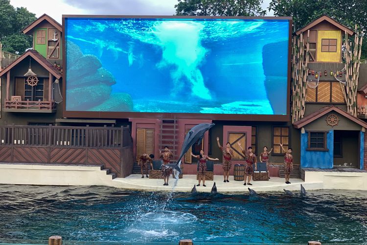 Dolphins Presentations atau atraksi lumba-lumba di Marine Safari Bali.