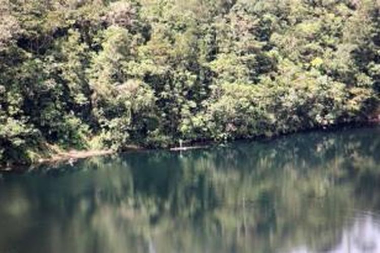 Keheningan dan kebeningan Danau Ranamese di Manggarai Timur, Flores, NTT, Kamis (9/5/2013). Danau seluas 5 ha itu termasuk salah satu andalan Taman Wisata Alam Ruteng, sekaligus sumber lauk ikan bagi masyarakat sekitar.
