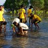 Tanam 10.000 Anak Mangrove demi Menahan Abrasi Pantai Nangalirang-Dampek di Manggarai Timur