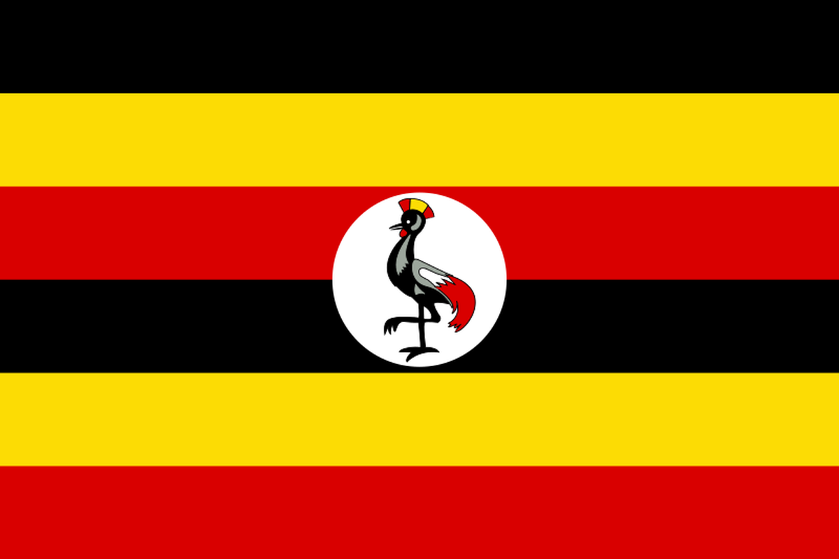 Ilustrasi Uganda. Ilustrasi bendera Uganda. Penyakit misterius bernama Dinga Dinga melanda Distrik Bundibugyo, Uganda.