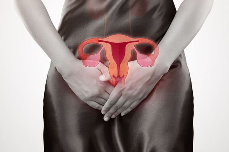 Kanker reproduksi wanita atau ginekologi terdiri dari serviks, rahim, tuba falopi, vagina, dan vulva. 