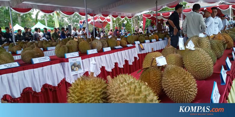 Kontes Durian di Bangka, Ini 5 Varian Paling Anyar