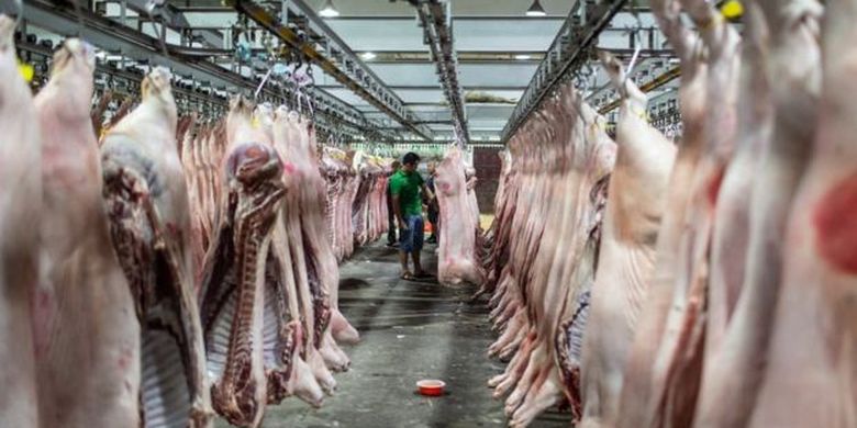 Kepala Dinas Ketahanan Pangan dan Peternakan Sumut, Azhar Harahap mengatakan bahwa kasus kematian babi terjadi di peternakan masyarakat, bukan peternakan yang dikelola perusahaan. 