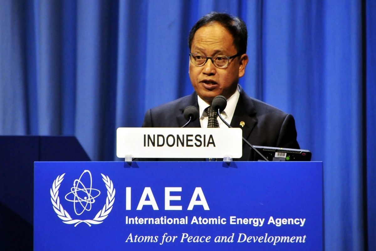 Menristekdikti Mohamad Nasir saat menghadiri Sidang Umum International Atomic Energy Agency (IAEA) ke-63 di Wina, Austria, pada Senin (16/9/2019).