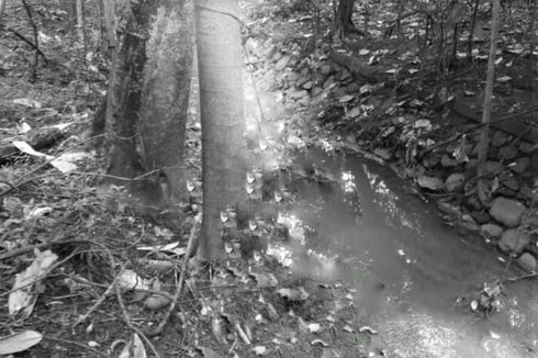 Mayat Tergantung di Hutan Kota Kramat Jati, Ditemukan Surat Penyesalan