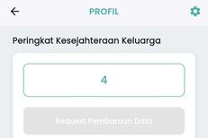 Bagaimana Desil DTSEN Ditentukan? Ini Indikator yang Jadi Pertimbangan