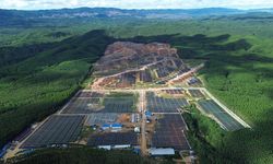 Otorita Klaim Sumber Energi IKN dari PLTS dan Tidak Merusak Hutan