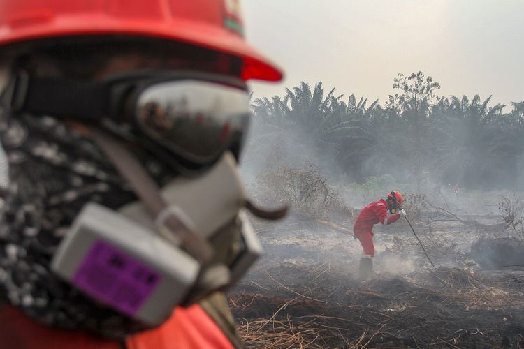 Satgas Karhutla Riau berusaha memadamkan kebakaran lahan gambut di Kabupaten Kampar, Riau, Selasa (24/9/2019). Petugas terus berupaya memadamkan kebakaran hutan dan lahan (karhutla) karena lokasi lahan gambut yang terbakar sangat dekat dengan rumah penduduk. ANTARA FOTO/Rony Muharrman/aww. 