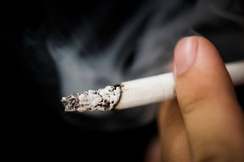 Zat Berbahaya di Dalam Rokok Penyebab Kanker Paru-Paru