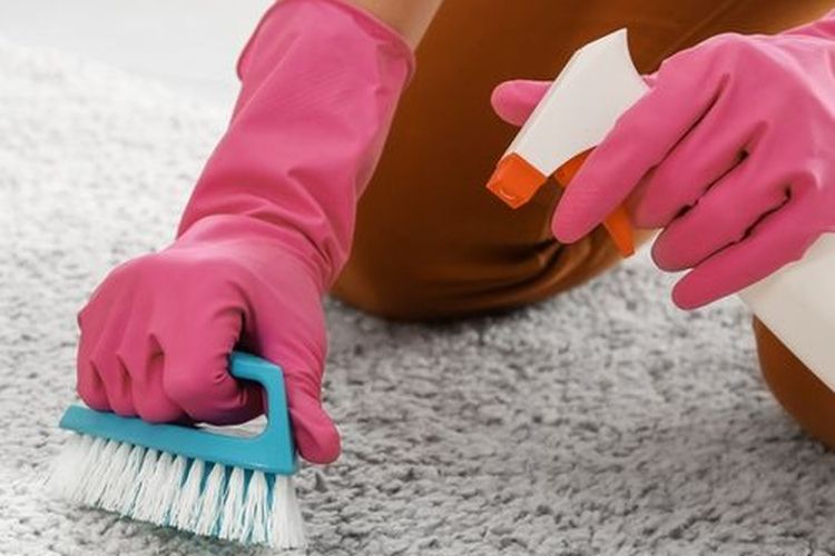 Ilustrasi membersihkan karpet.