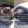 Video Viral Ratusan Anjing Diangkut Truk, ke Mana Mereka Dibawa?