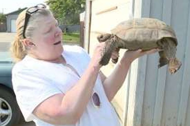 Nancy Knauss (60) sudah memelihara Touche si kura-kura selama 55 tahun.