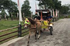 Panduan Lengkap Aktivitas Seru di JJ Park and Play Semarang