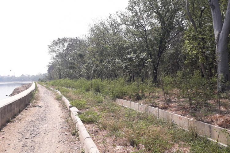 Suasana Hutan Kota Danau Cincin, Jakarta Utara, Selasa (9/10/2018).