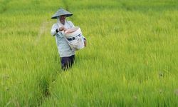 Krisis Selat Hormuz, FAO Ingatkan Bahaya Inflasi Pangan Global