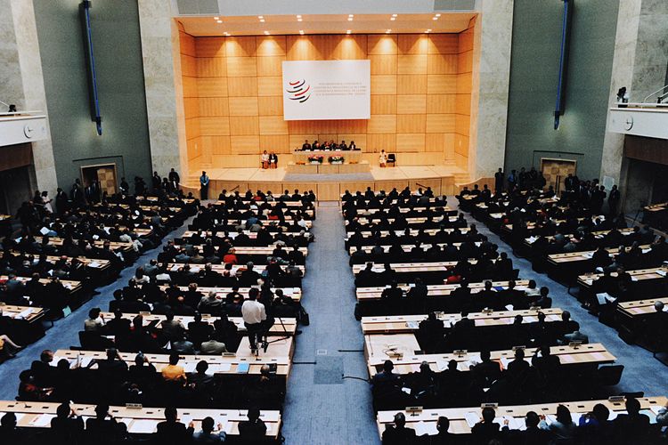 Konferensi Geneva Ministerial 18-20 Mei 1998