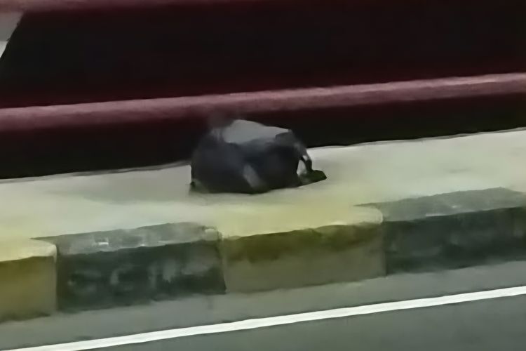 Warga Temukan Pria Tewas di Sungai Besuk Kobokan Lumajang, Diduga Bunuh Diri