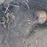 Makam Leluhur Suku Tidung di Kalbar Dirusak OTK, Ketua Adat: Kalau Manusia, Harusnya Minta Maaf