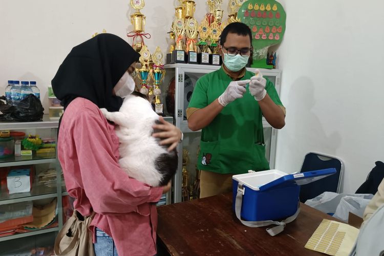 Pemberian vaksin rabies gratis untuk hewan peliharaan di Kantor Sekretariat RW 01 Kelurahan Kayu Manis, Kecamatan Matraman, Jakarta Timur, Senin (10/7/2023).