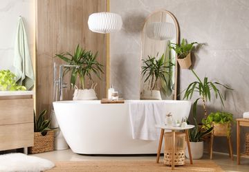 7 Tanaman Hias yang Tumbuh Subur di Kamar Mandi