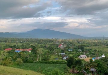 Kawasan Hutan di 19 Lokasi Transmigrasi Sudah Dilepaskan