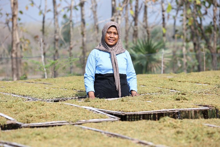 Perjalanan Sudarti Mengubah Hidup, dari Buruh Pabrik yang Ter-PHK hingga Jadi Petani Tembakau Sukses