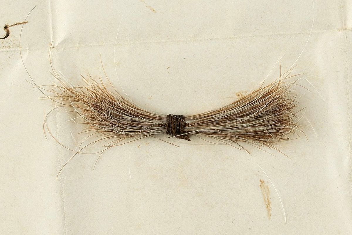 Foto yang dirilis oleh Rumah Lelang RR menunjukkan seikat rambut dari mantan Presiden AS Abraham Lincoln, yang akan dilelang 12 September 2020.