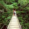 Daftar Lengkap Taman Hutan Raya (Tahura) di Indonesia
