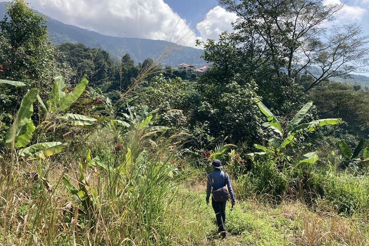 Jalur trekking ini hanya dilewati oleh warga lokal saja. Begini pemandangan yang dapat dilihat dari jalur yang letaknya di kaki Gunung Salak yang berlokasi di Desa Pasirjaya, Kecamatan Cigombong, Kabupaten Bogor, Kamis (27/5/2021).