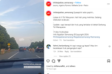 Video Viral, Sapi Lepas di Gerbang Tol Manyaran Semarang