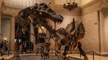 'Jurassic Park' Jadi Nyata, Peneliti Swedia Garap Proyeknya