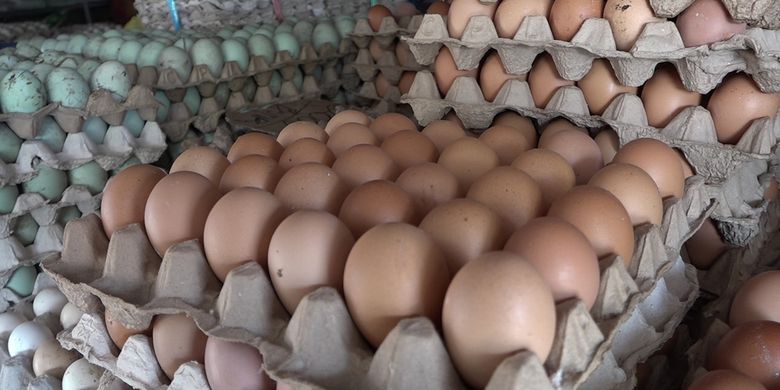 Berita Harian Kenaikan-harga-telur Terbaru Hari Ini - Kompas.com