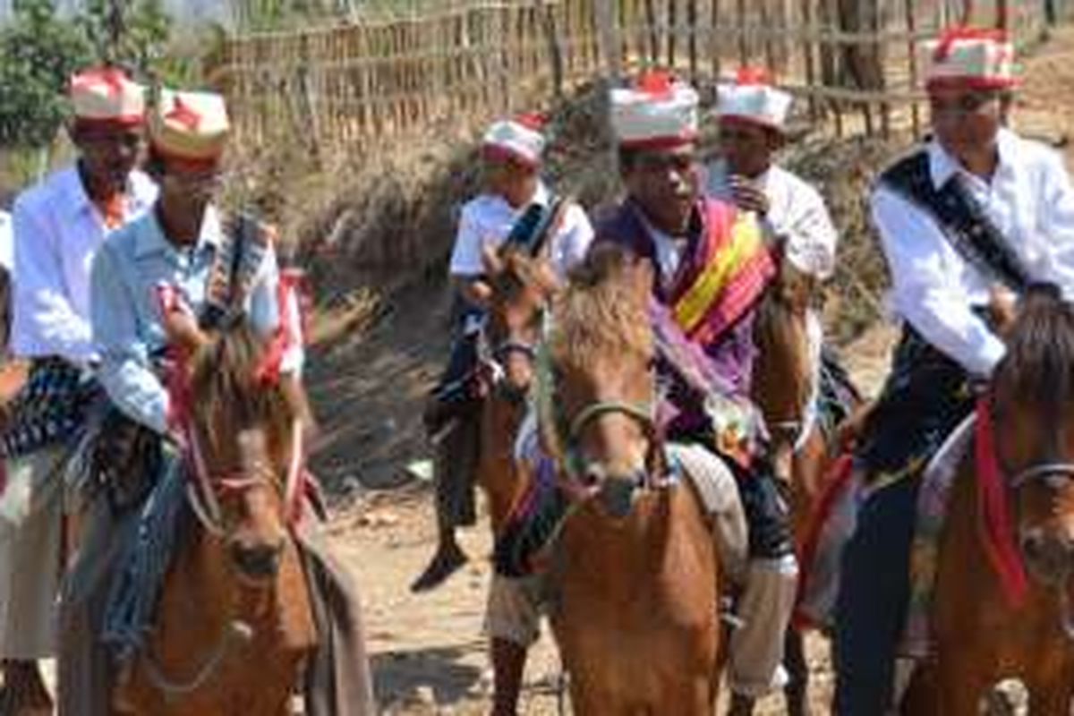 Warga Suku Rongga, Kabupaten Manggarai Timur, Nusa Tenggara Timur, memiliki tradisi menjemput tamu dengan berkuda.