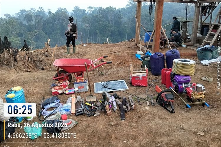 Kakak Ipar Jadi Tersangka karena Berkebun di TNBBS, Warga Bengkulu: Garap 2 Ha Ditangkap, yang 50 Ha Kenapa Bebas?