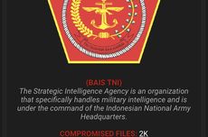 Data Bais Diretas, TNI: Sudah Ditangani Kemenko Polhukam dan BSSN