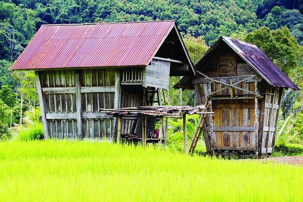 Lumbung padi berdiri di atas batu sandi atau umpak di Desa Lempur Mudik, Kecamatan Gunung Raya, Kabupaten Kerinci, Jambi, Minggu (4/3). Umpak menjadi salah satu ciri khas rumah tradisional di Pulau Sumatera yang merupakan daerah rawan gempa.