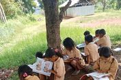 Viral Murid SD di Manggarai Barat Belajar di Bawah Pohon karena Ruang Kelas Kurang