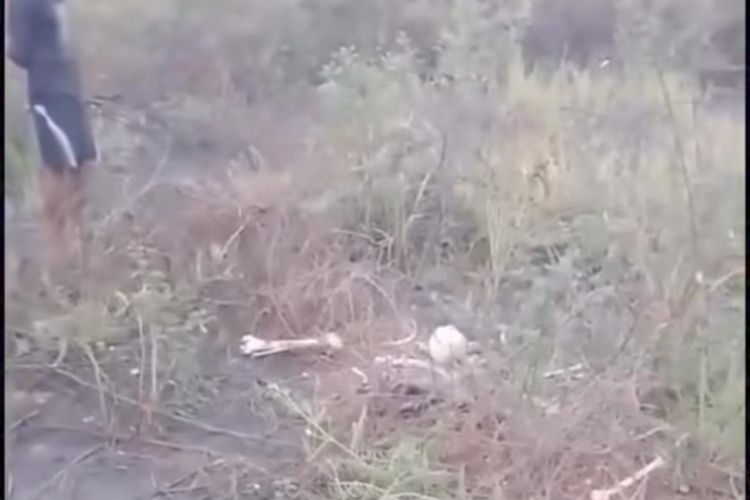 Hasil Forensik Kerangka Manusia di Tangerang: Idap Penyakit Tulang Belakang, Tak Ada Tanda Kekerasan