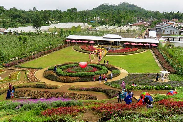 Keindahan Taman Bunga Kutabawa dengan warna-warni kembangnya.