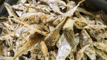 Cara Kurangi Rasa Asin Pada Ikan Asin, Ini Tips Mudahnya