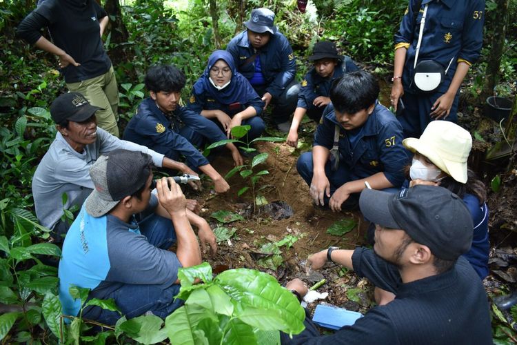 Ilustrasi para mahasiswa sedang meneliti tanaman kopi