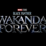 Black Panther: Wakanda Forever Diprediksi Batal Tayang di Beberapa Negara Eropa