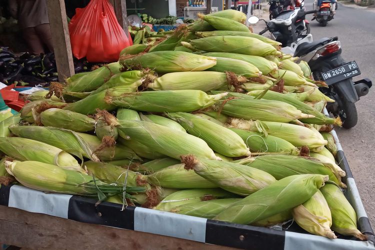 Lapak pedagang jagung mentah saat momen pergantian tahun di Kota Pangkalpinang, Bangka Belitung, Sabtu (31/12/2022).
