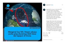 [HOAKS] Foto Diduga Monster Purba Sepanjang 8.000 Km Tinggal di Samudra Atlantik